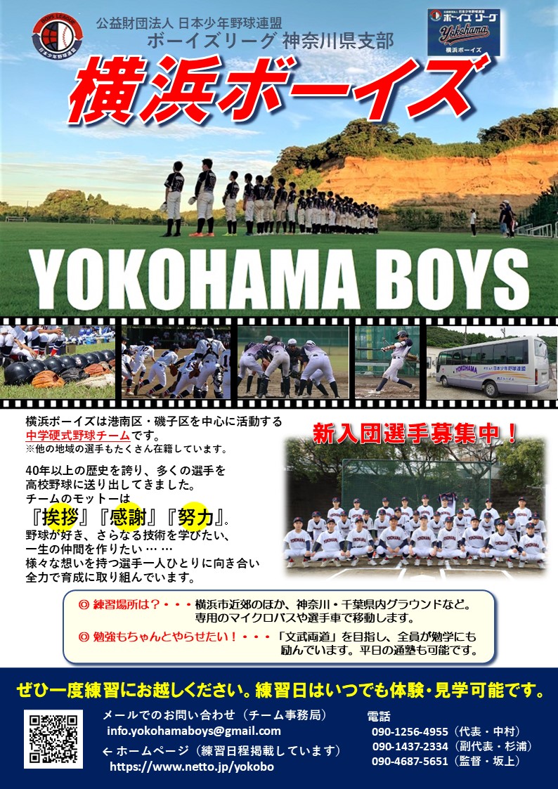 横浜ボーイズのチーム方針と体験・入団案内を掲載した選手募集チラシ