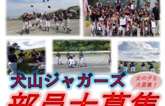 横浜市栄区の犬山ジャガーズ公式部員募集チラシ。いのやま東公園で土日祝に活動、男女募集、体験用具の貸し出しあり。