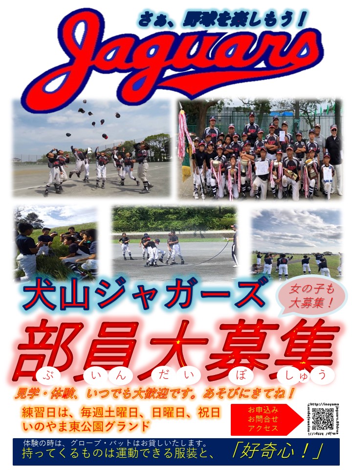 横浜市栄区の犬山ジャガーズ公式部員募集チラシ。いのやま東公園で土日祝に活動、男女募集、体験用具の貸し出しあり。
